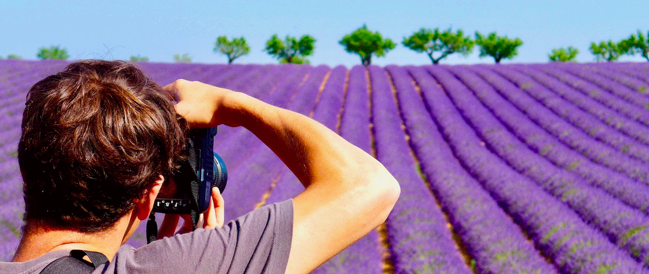 photographe lavande